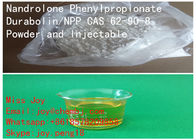 USP Nandrolone Phenylpropionate / Durabolin / NPP CAS 62-90-8 Effective Injectable Steroids