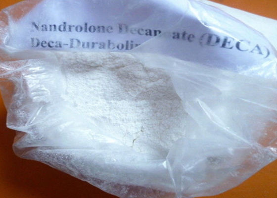 Androgen Anabolic steroids Nandrolone powder Deca Durabolin